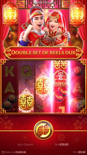 Double Fortune Captura de tela do jogo 5 Double Fortune Captura de tela do jogo 5