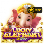 Lucky Elephant X-Huge™