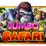 Jumbo Safari