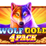 Wolf Gold 4 Pack